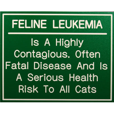 FELINE LEUKEMIA...